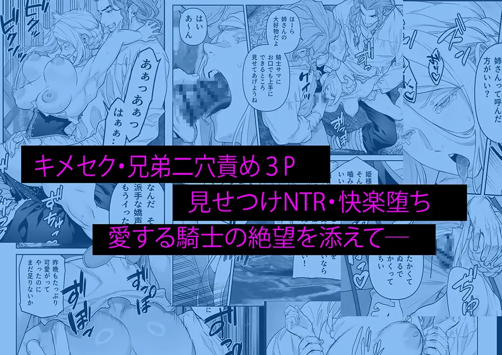 蛮族の花嫁~堕ちた姫君~